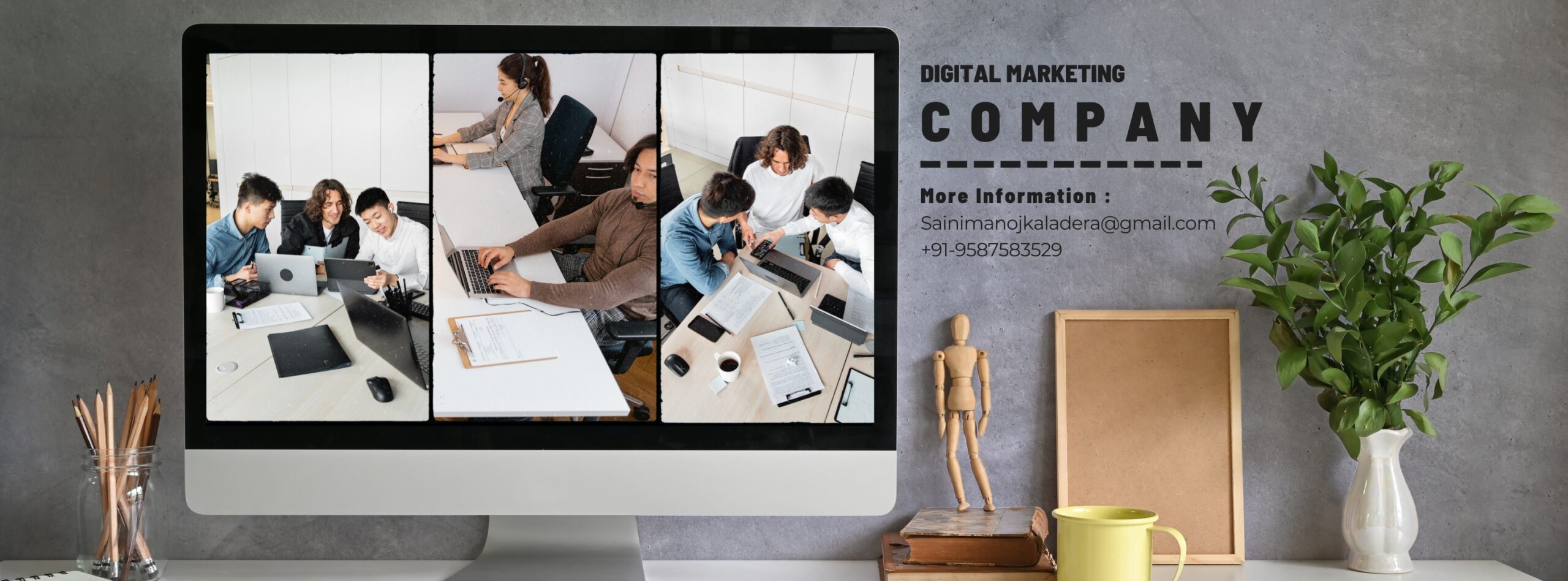 About Pro Digital Business – Best Digital Marketing Company in Jaipur